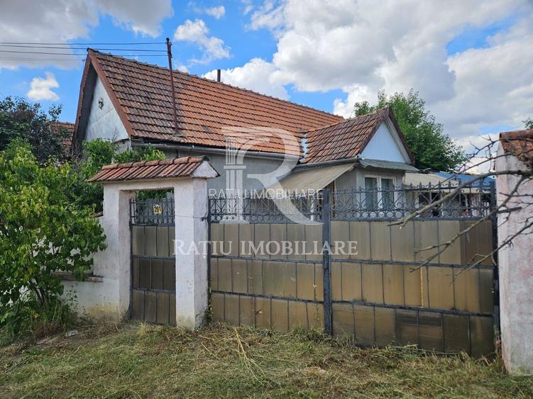 Casa cu teren generos | Spinus | Bihor - 10
