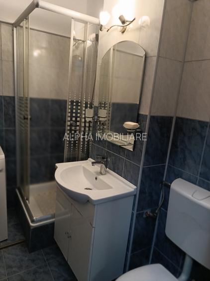 De vanzare apartament 2 camere Piata Domenii - 8