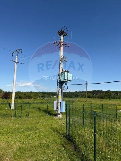 4 HALE INDUSTRIALE INDIVIDUALE SUPRAFATA TOTALA 1.407 mp, Acces DN 1 - 3