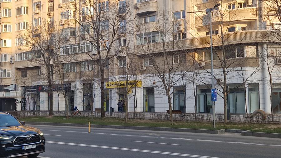 DECEBAL-- Alba Iulia 230 mp -PRET 5.000 EURO