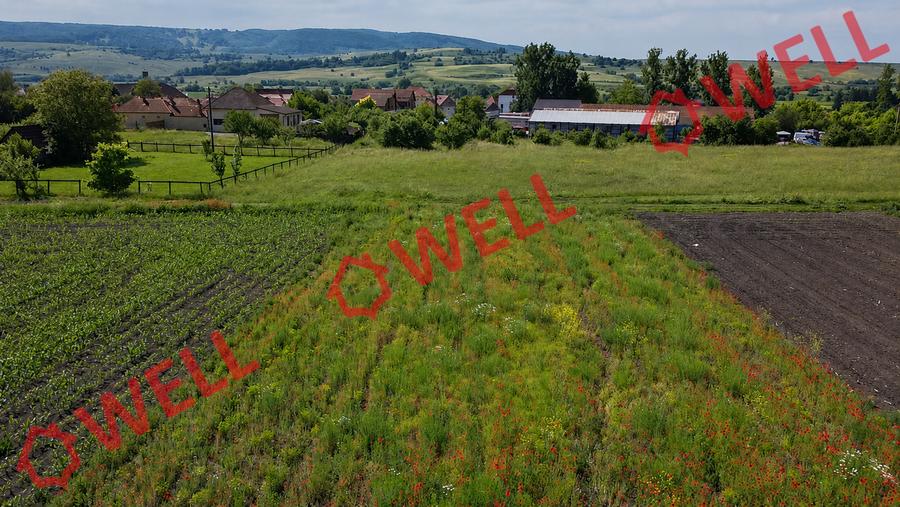 De vânzare teren intravilan în Baraolt, pe strada Baróti Szabó Dávid!