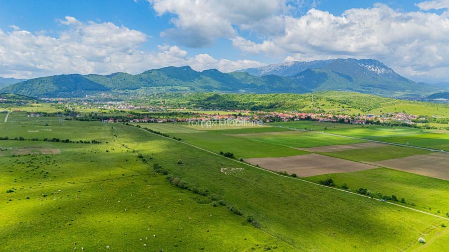 Teren de investiție în zona Tohanul Nou - Bran  5.800 mp - 8