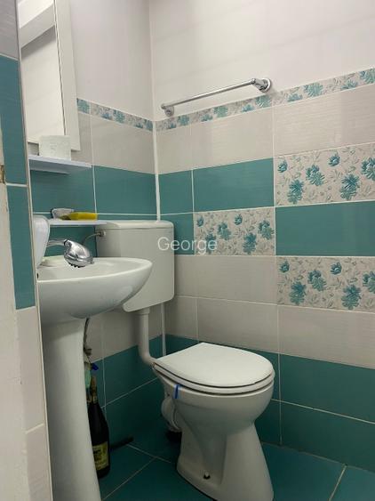 Casa  cu gradina, Colentina - 14