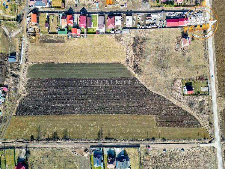 Proprietate remarcabila: 32.000mp teren, acces direct DJ112,Ilieni,Covasna - 15