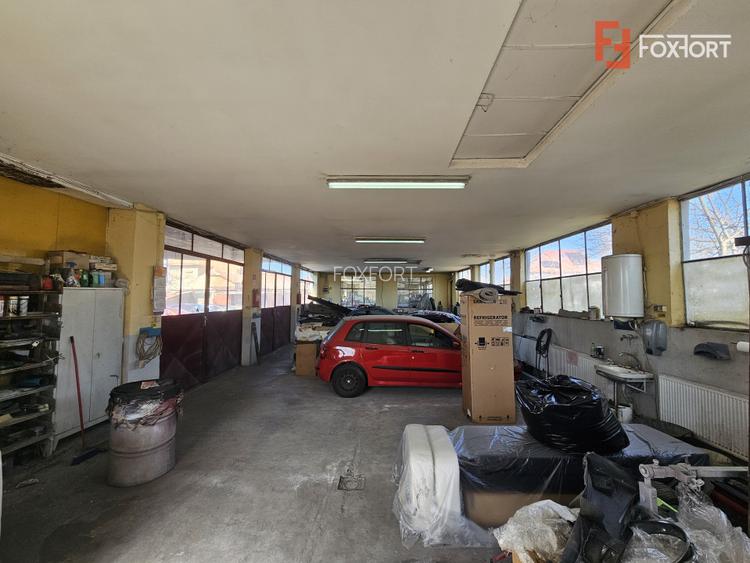 Oportunitate afacere: Spatiu industrial + Casa de locuit - Bogdanestilor - 31