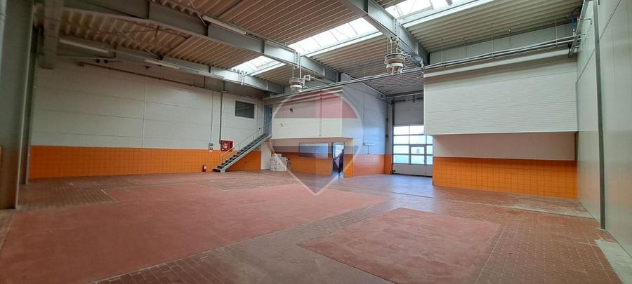 Spatiu Hala Calea Moldovei "Scorpion"