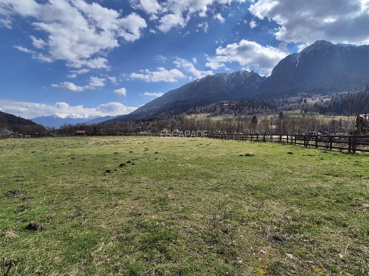 Teren investitie, superb intravilan 1200 mp, Plaiul Foii, vedere la munte - 5