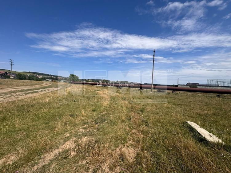 Teren Itcani | 31 Ari | Extravilan | Deschidere 11.5 MP | 93000 Euro - 5