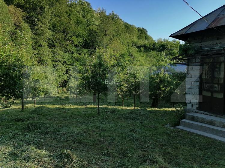 Casă la rRșu cu Livadă, Teren 1000 mp.  Gemenea Brătulești - 2