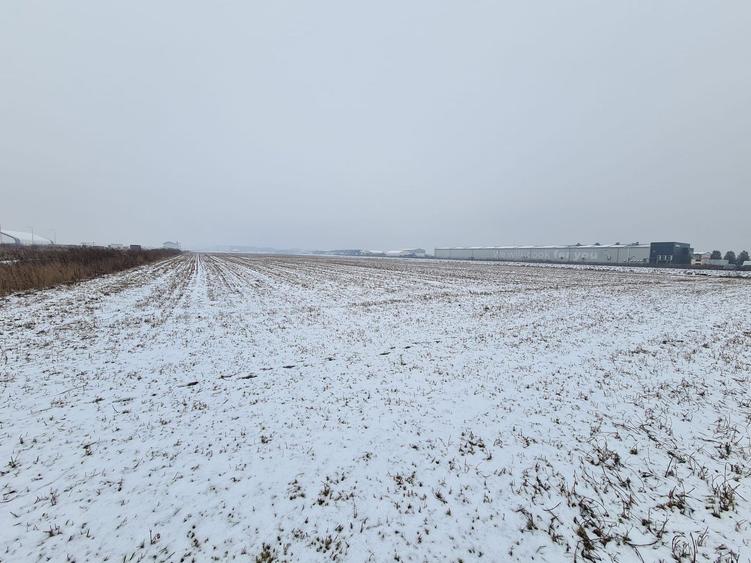 Teren industrial de vanzare in Stupini
