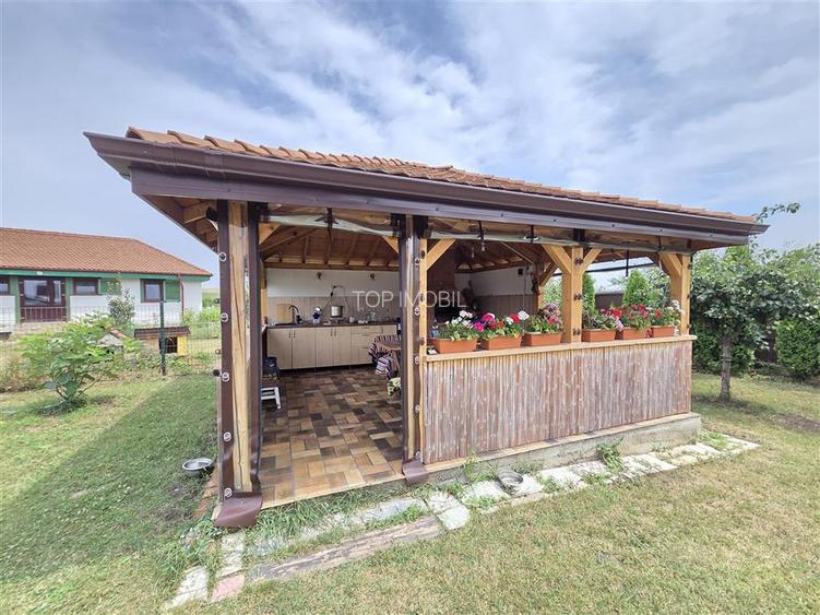 Proprietate Deosebita cu 4600 Mp Teren, 2 Case, Panouri Fotovoltaice si Sera - 5