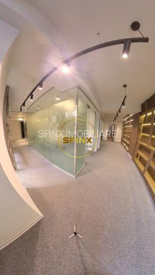 Spatiu Comercial/Birouri | Dorobanti | Parter+Demisol - 7
