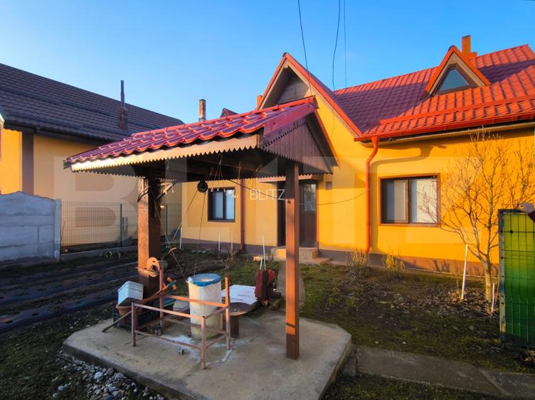 Gospodarie deosebita, casa de locuit, spatiu comercial, 155 mpu si 200mp teren - 3