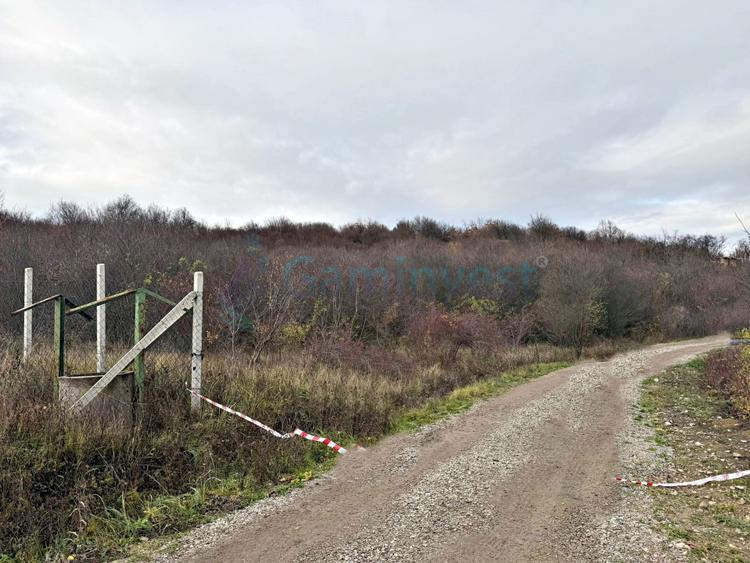 Parcela de teren extravilan, langa padure, zona Gheorghe Doja, Oradea