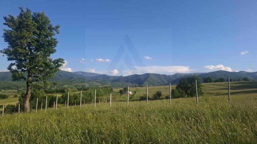 Teren intravilan 809 mp cu deschidere 14 m în Tropinii Noi