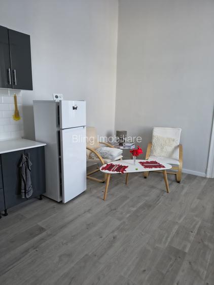 Apartament in zona centrala,finisat (cladire istorica ),mobilat,cu parcare - 14
