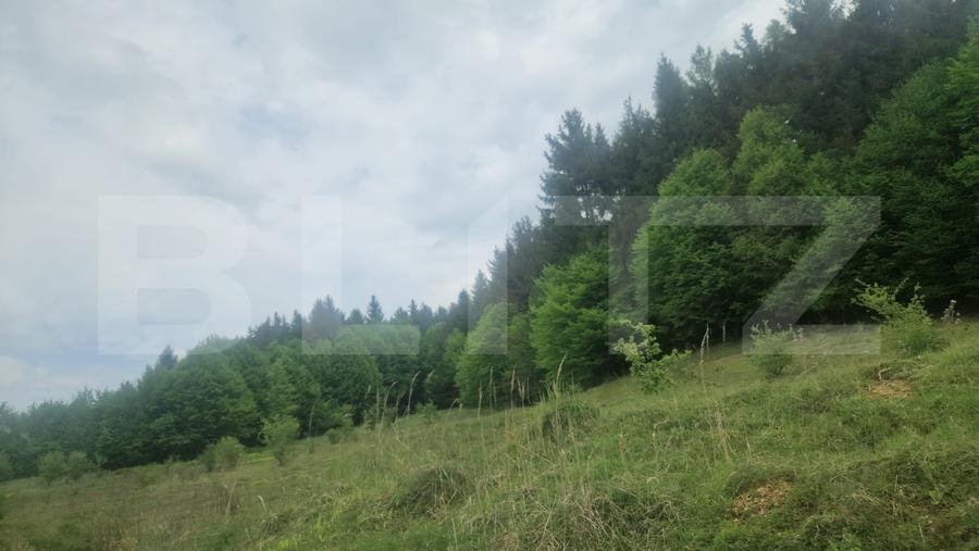Teren Brasov , Dumbravita ,intravilan 680 mp pretabil casa sau casa de vacanta