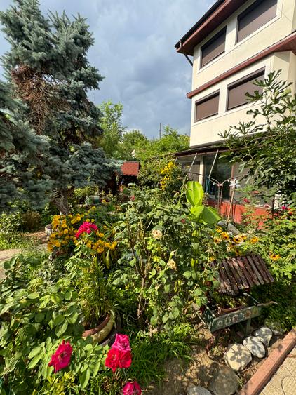 Vanzare vila lacul Baneasa