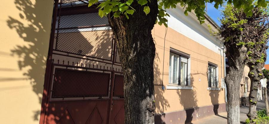 De inchiriat casa singur in curte , zona Centrala