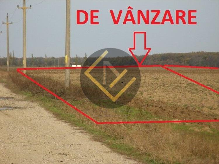 Teren 9Ha -> 16Ha Ha Intravilan , Exit A3 Snagov Ghermanesti Bucuresti-Ploiesti