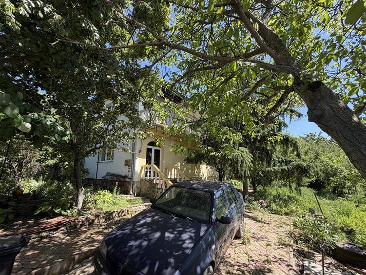 Case vile de vânzare Vișan Iași
