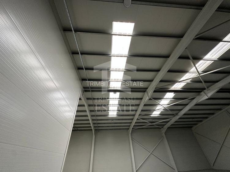 CENTURA - Rudeni | HALA 510 mp| Birouri 120mp | Parc Industrial nou - 10