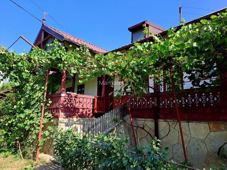 Resedinta vacanță in mediu rural  intravilan  - 3