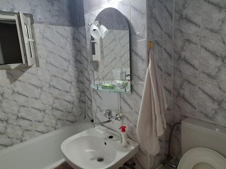 Proprietar, Apartament 2 camere, decomandat, Brazda lui Novac - 8