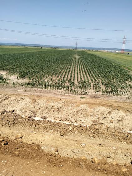 Teren Oarja de 8 400 mp, langa Pasarela A1, 5,5 euro/mp la Pretul 46 200 Euro.