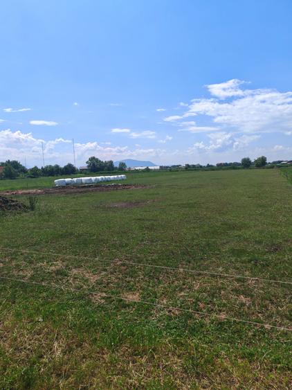 Teren Intravilan de vanzare