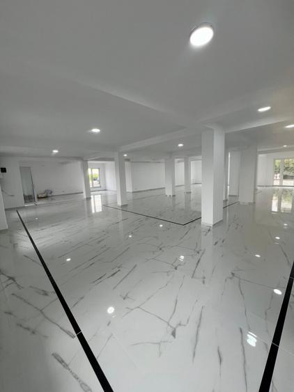 Spațiu comercial | Dumbrăvița Nord |