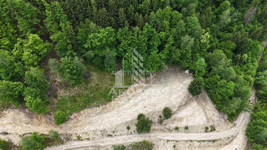 Oportunitate! Domeniu montan, cu lac propriu, oras Lupeni, Hunedoara - 43