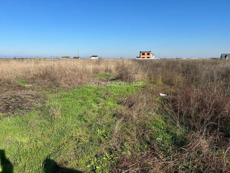 1017 mp Dragomiresti Vale pe strada din spatele Liceului  // toate utilitatile - 4