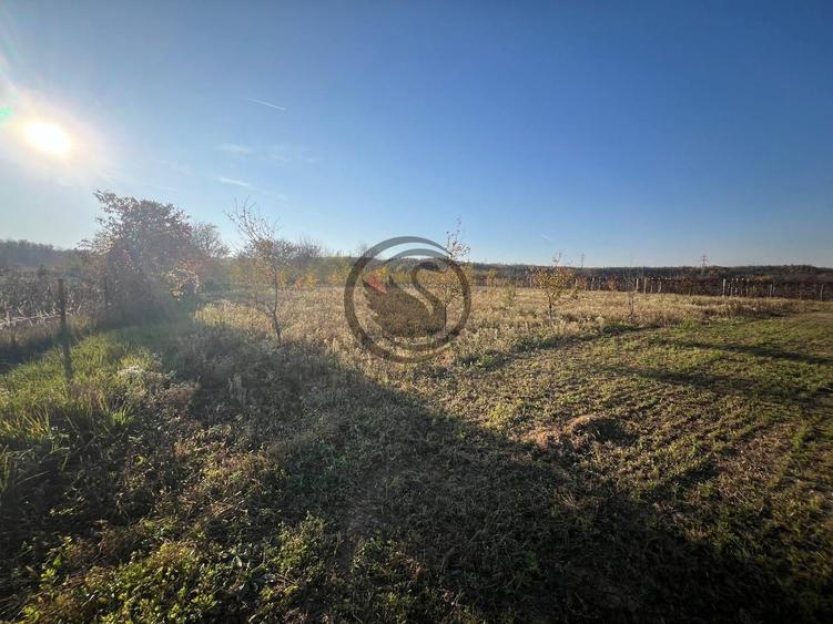 Teren intravilan de vanzare | 12.650 mp | Ghirdoveni | Comision 0%