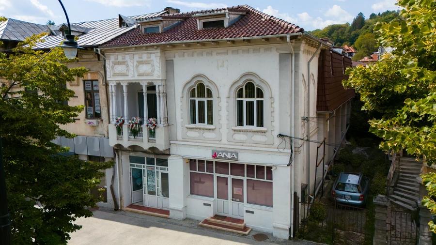 Proprietar vand vila ultracentrala in stil neoromanesc