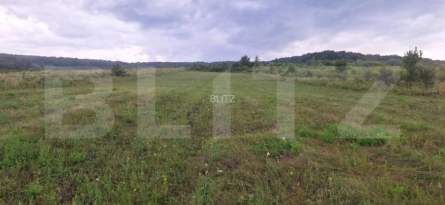 Teren intravilan de vânzare în Bozeni – 1.500 m2 | Ideal pentru construcție - 6