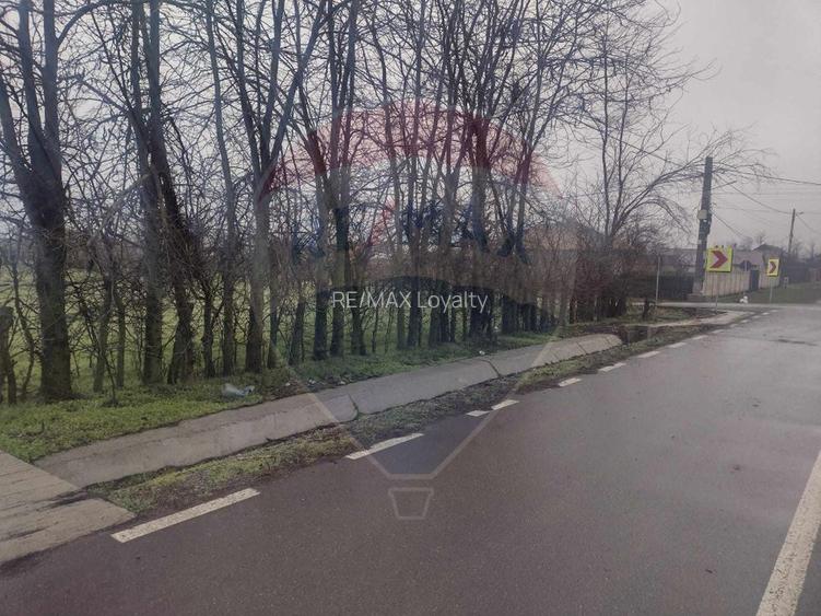 Teren intravilan 2.205 mp – dublă deschidere, utilități, parcelabil - 11