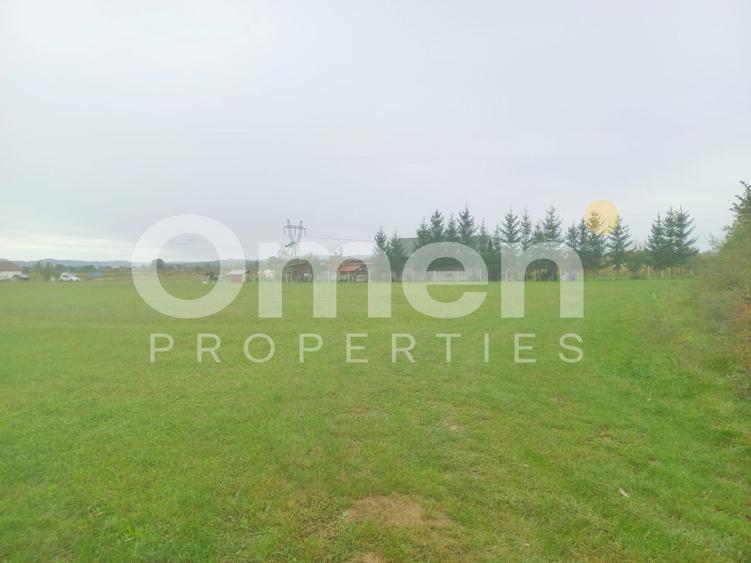 Teren intravilan 7.631 mp – Săcălășeni, lângă Baia Mare , utilități la drum