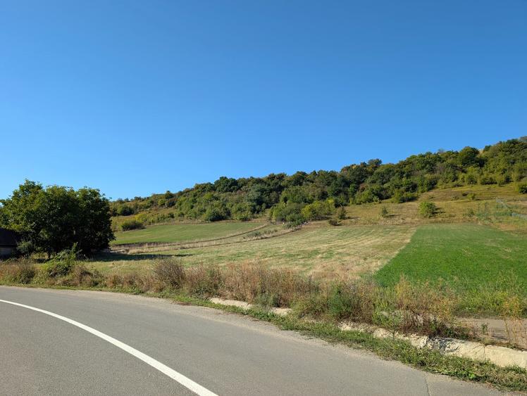 Teren pentru constructie Hale/Depozite cu autorizatie de construire in Baciu