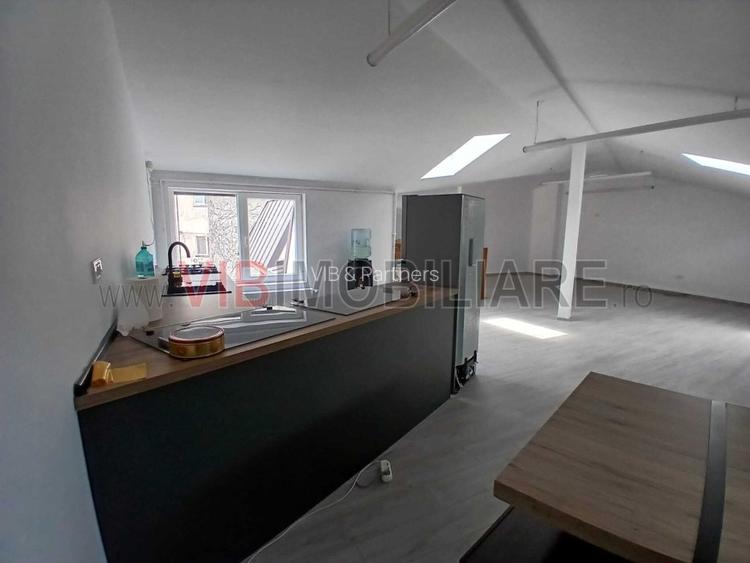 Loft spatios la Cismigiu - 14