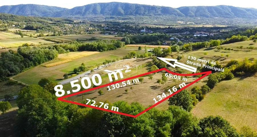 VIDEO | Super view | Teren 8.500 m² in Maramures | Viitorul tau colt de liniste