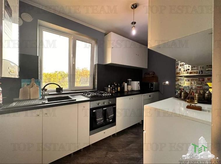 Vila moderna + casa renovata cu 2 apartamente si teren generos - Palazu Mare ,