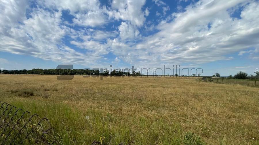 Teren Intravilan 1 ha – Acces Drum Asfalt | Ideal Rezidențial - 2