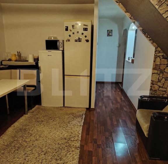 Casa etaj + demisol, 340 mp utili, 350 mp teren, zona Burdujeni