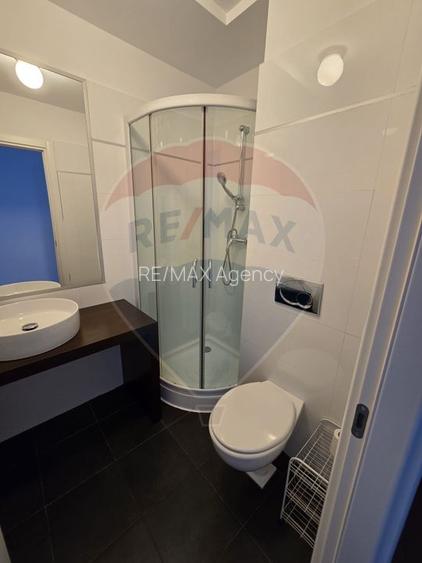 Apartament cu 5 camere de închiriat în zona Herastrau - 14