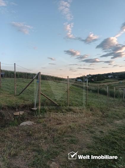 Teren cu potential, pentru investitie