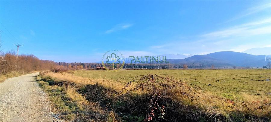 Teren intravilan, 1000 mp cu PUZ - locatie deosebita, Sibiu - Valea Avrigului - 3