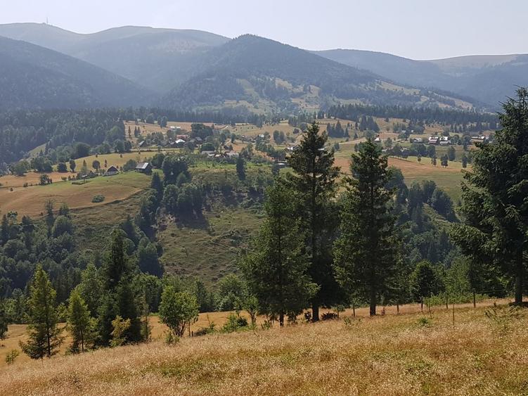 ! Ocazie! Teren extravilan, comuna Arieseni