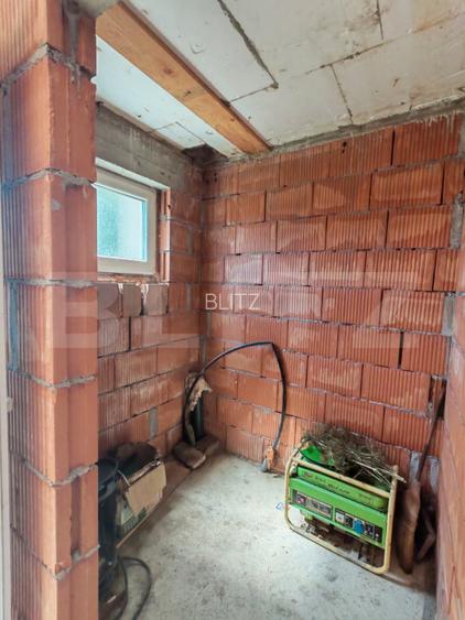 Casa 4 camere, 240 mp, teren 4000 mp, zona Pinticu - 11