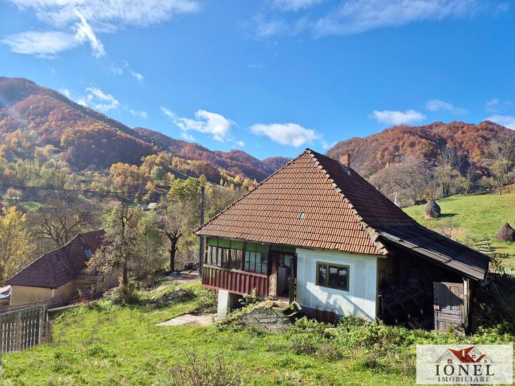 Casa de vanzare in Trampoiele (Zlatna)